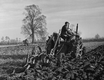  A farm worker ploughing a field in preparation for a crop of sugar beet, The Fens, 19 December 1946. Photo by Russell Westwood/Popperfoto/Getty Images.